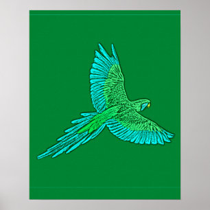 Affiches Perroquet en vol, Jade Green et Turquoise