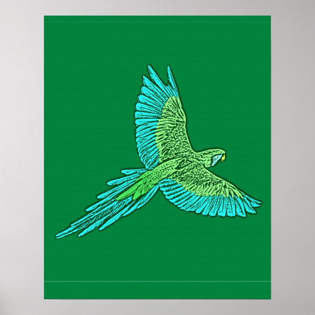 Affiches Perroquet en vol, Jade Green et Turquoise (Devant)