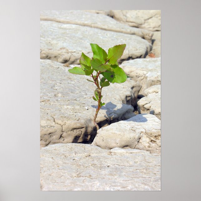 Affiches persévérance (Devant)