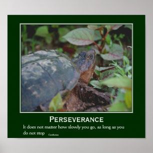 Affiches Persévérance Confucius Citation Tortue Inspiration