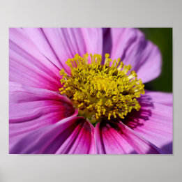 Affiches personnalisation Anniversaires Destinée Destinée