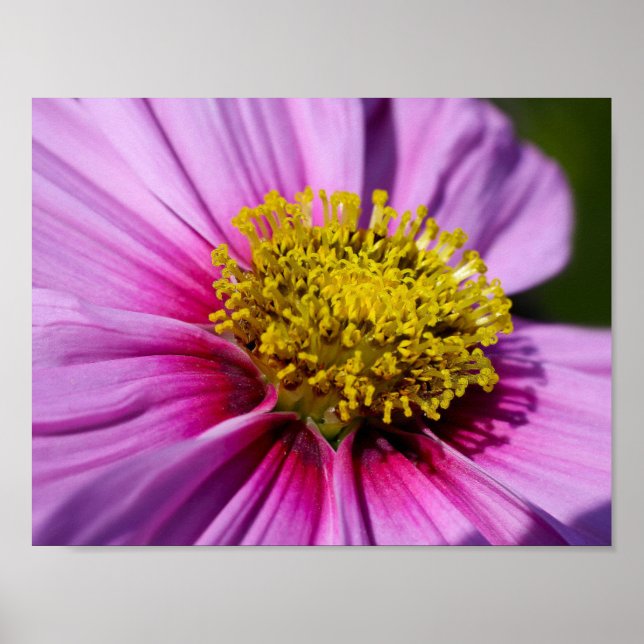 Affiches personnalisation Anniversaires Destinée Destinée (Devant)