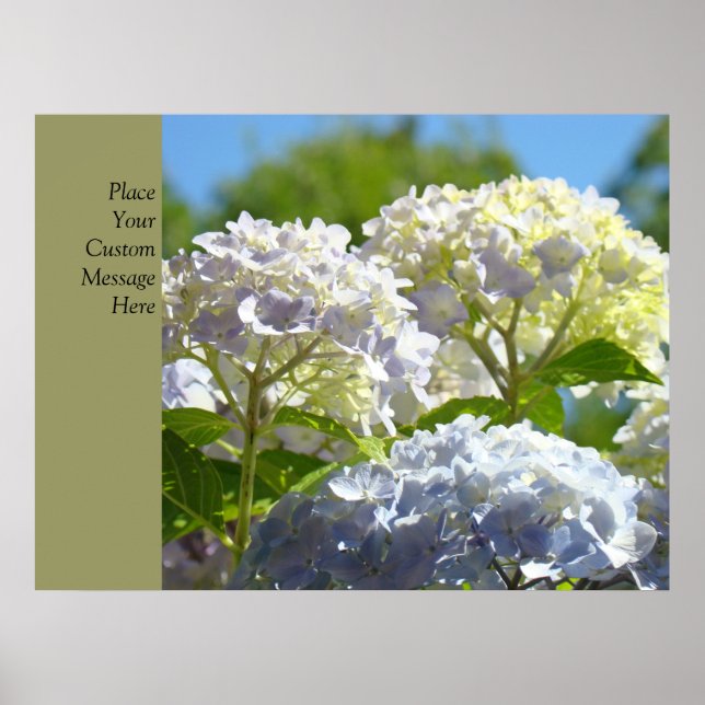 Affiches personnalisées Fleurs d'hydrangea bleues  (Devant)