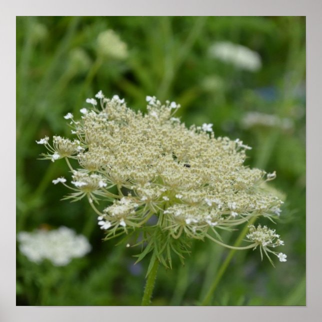 Affiches Personnaliser (Devant)
