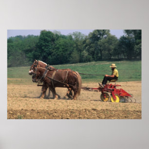 Affiches Personnes simples de pays amish dans l'agriculture