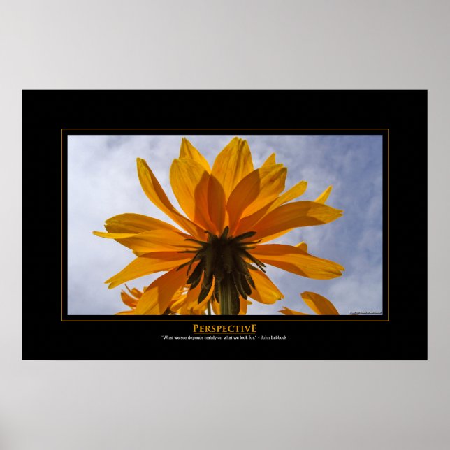 Affiches Perspective (Devant)