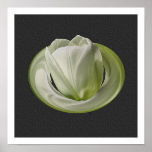 Affiches Pétales de Tulipe Blanche Art Floral