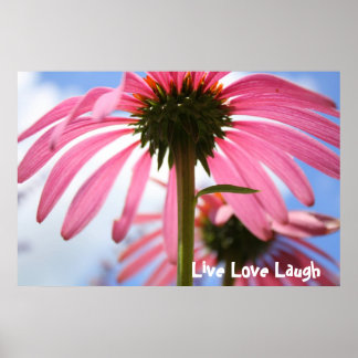 Affiches Pétales roses