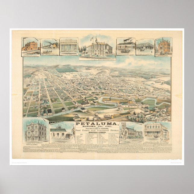 Affiches Petaluma, CA. (1314A) (Devant)