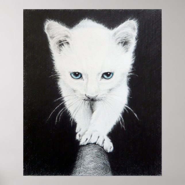Affiches Petit chaton blanc Dessin animal Amoureux de les c (Devant)