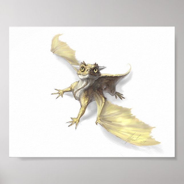 Affiches Petit dragon (Devant)