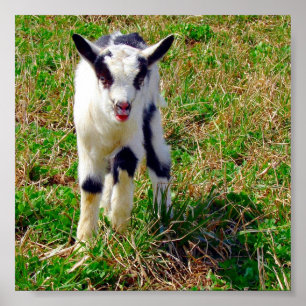 Affiches Petit endroit