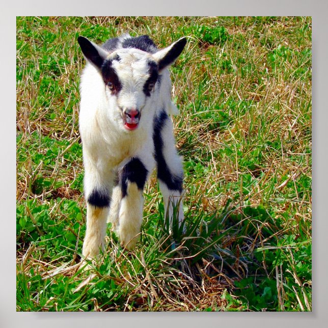 Affiches Petit endroit (Devant)