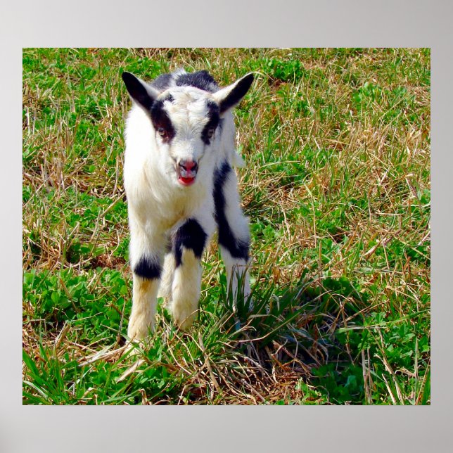 Affiches Petit endroit (Devant)