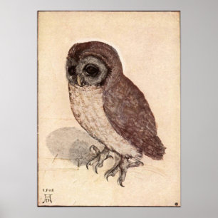 Affiches Petit hibou d'Albrecht Durer