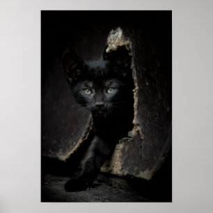 Affiches Petit Kitty noir