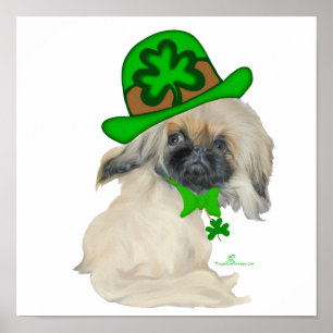 Affiches Petit Saint-Patrick de Pékin
