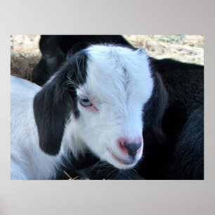 Affiches Petit visage enfant