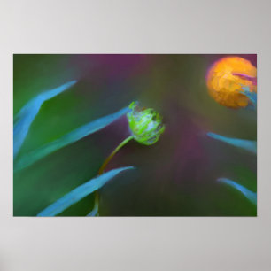 Affiches Petite et paisible de fleur sauvage peinture