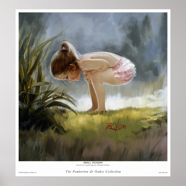 Affiches Petite merveille (Devant)