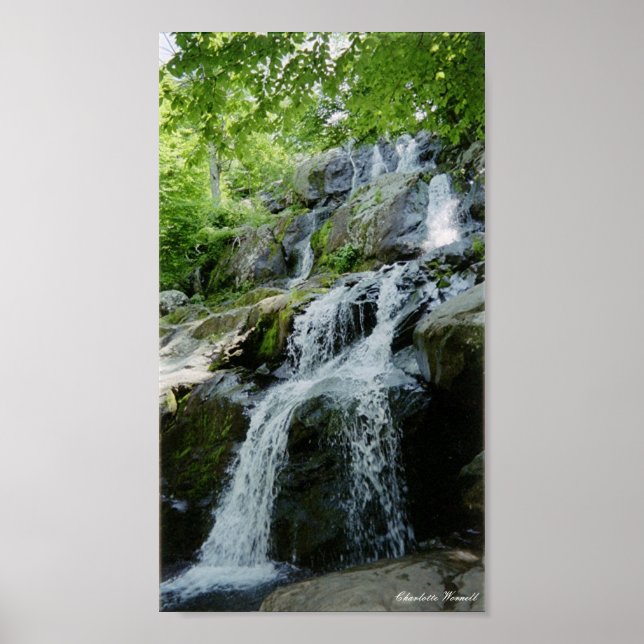 Affiches petites boules (Devant)