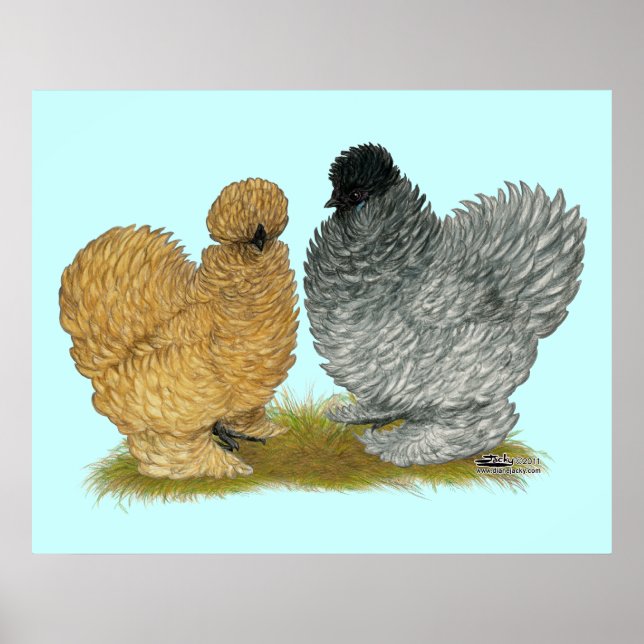 Affiches Petits poulets (Devant)