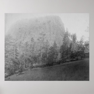 Affiches Peu de champ et arbres de Beyod de butte de