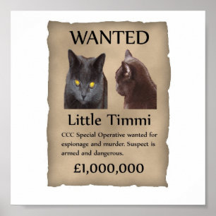 Affiches Peu de Timmi a voulu l'affiche