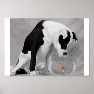 Affiches Peut-être quelque chose à manger ?