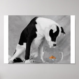 Affiches Peut-être quelque chose à manger ?