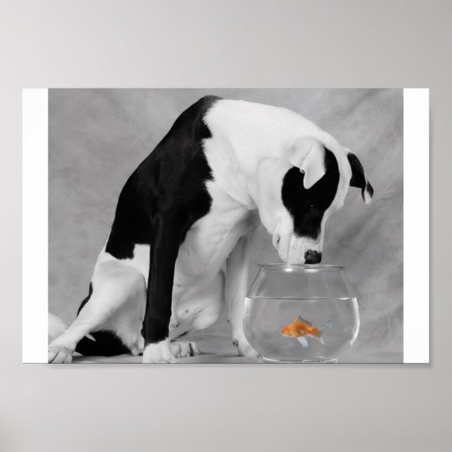 Affiches Peut-être quelque chose à manger ? (Devant)