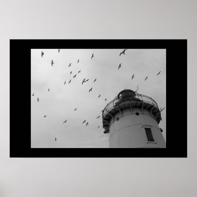 Affiches Phare de Cleveland et mouettes à bec (Devant)