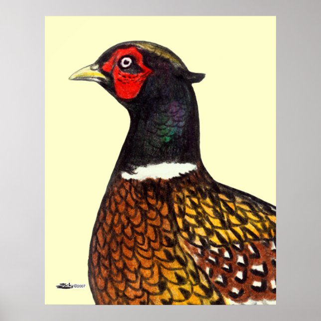 Affiches Pheasant : Tête de Ringneck (Devant)