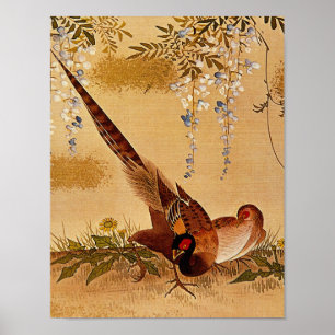 Affiches Pheasants Under the Glycines_The Orient