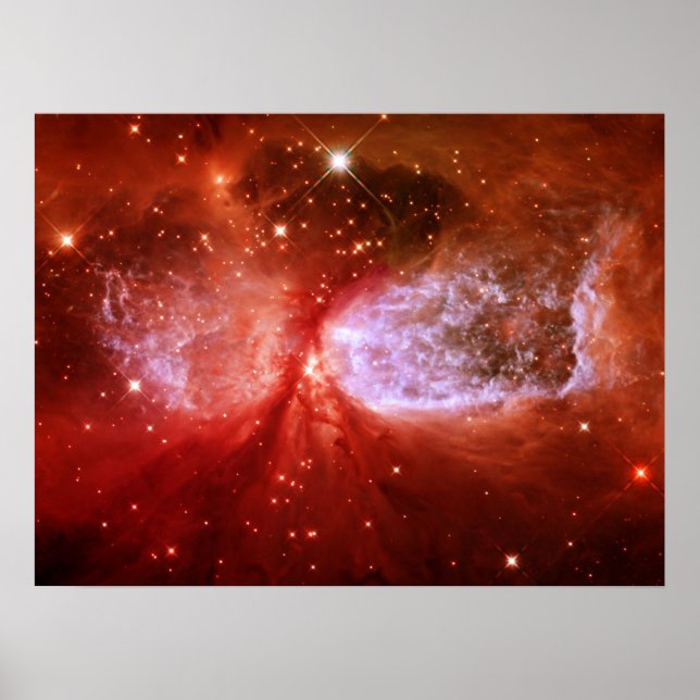 Affiches Phoenix (Devant)