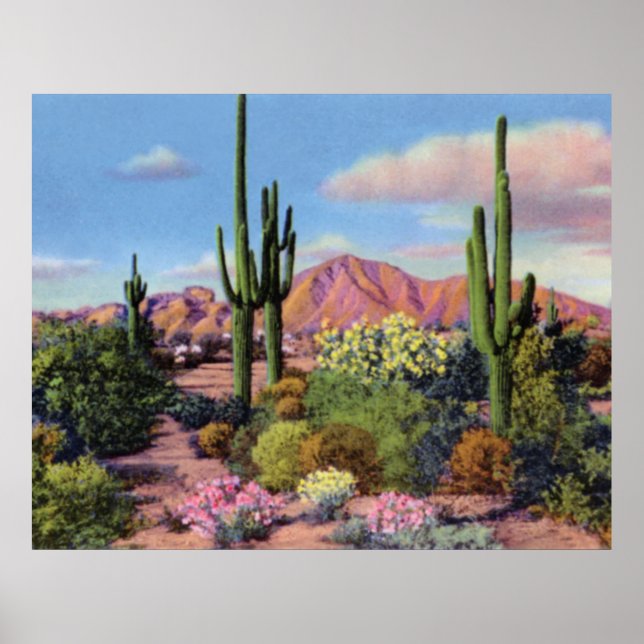 Affiches Phoenix Arizona Camelback Mountain (Devant)