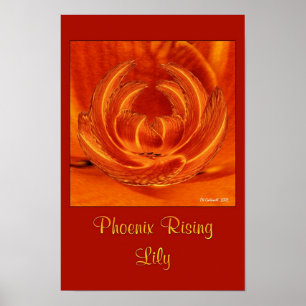 Affiches Phoenix Rising Lily
