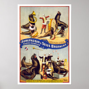 Affiches Phoques de cirque merveilleusement dressés, 1899.
