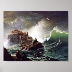 Affiches Phoques sur les rochers par Albert Biestadt