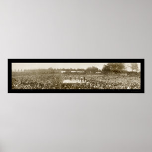 Affiches Photo 1905 de boxe du Nelson Britt