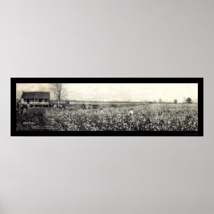 Affiches Photo 1907 de travail sale du Roi