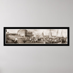 Affiches Photo 1909 du Panama de bateaux de pêche