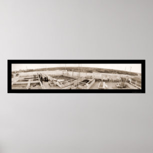 Affiches Photo 1910 de la Floride de ferme d'alligator