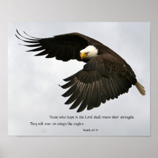 Affiches Photo d'aigle avec la Bible Verse