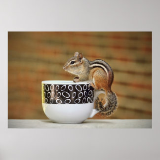 Affiches Photo de Chipmunk avec Latte Coffee Cup