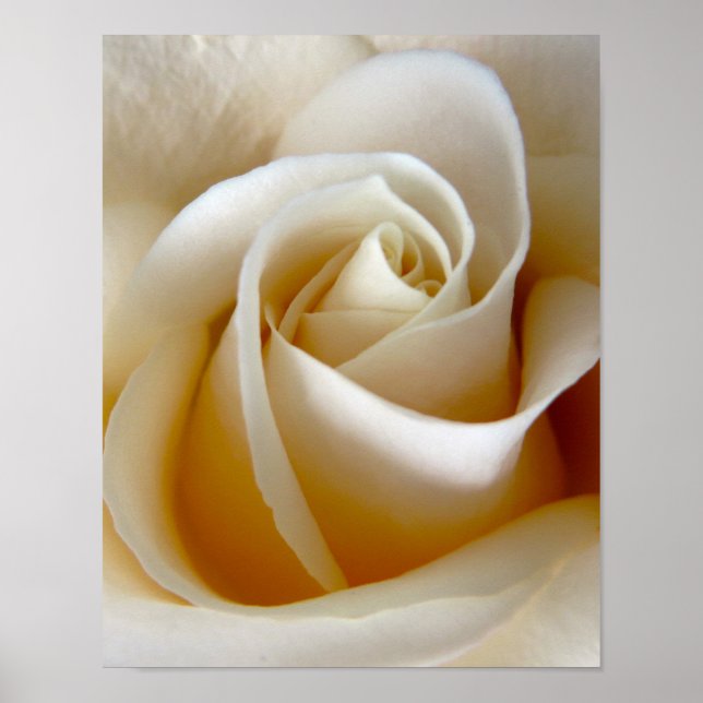 Affiches Photo de mariage aux roses crème (Devant)