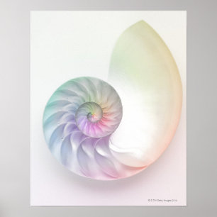 Affiches Photo de nausolée de couleur artistique