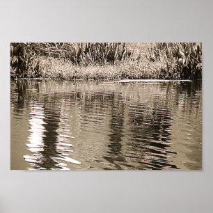Affiches Photo de Pond Sepia