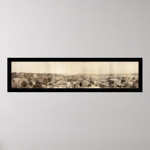 Affiches Photo d'oiseau Davenport IA 1907