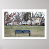 Photo du banc du parc